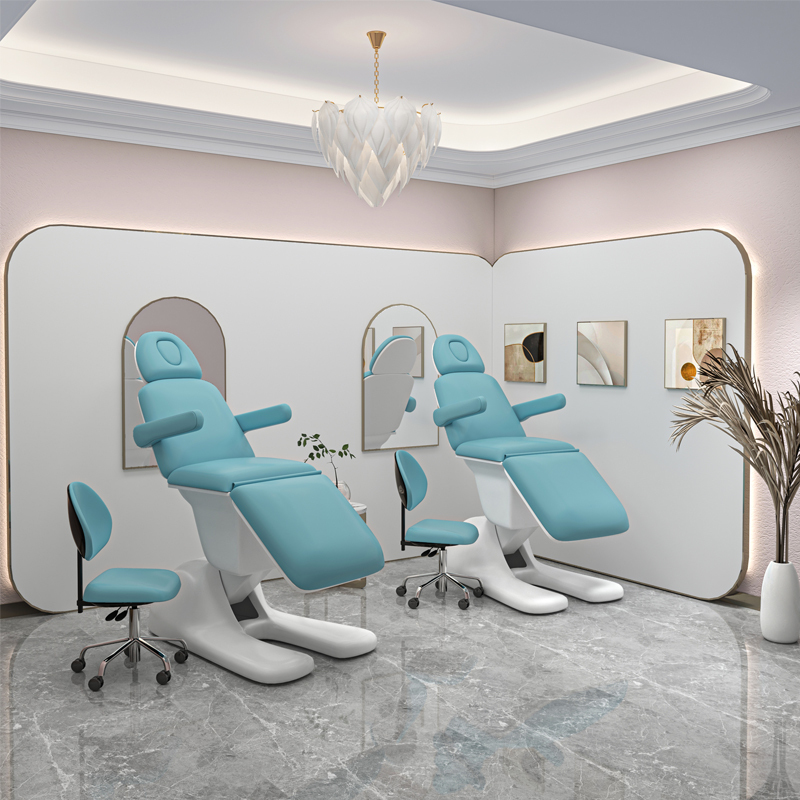 High-End Electric Lifting Beauty Bed, Tattoo Bed, Plastic Surgery Beauty Injection Bed, Embroidery Bed, Ear-Picking Dental Bed, Beauty Chair