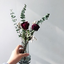 ins Nordic simple glass vase Eucalyptus leaf rose dried flowers Living room decoration Home bouquet decoration ornaments