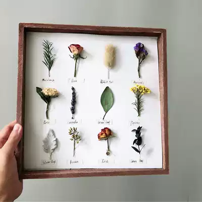 ins specimen dry flower photo frame diy wall pendant bedroom decoration simple retro photo frame