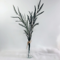 Eternal saber tooth leaf Nordic eternal simple flower material Flower arrangement bouquet Fern leaf dried flower fresh ins shooting props