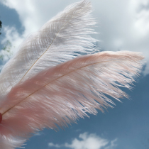 Arctic heart INS Ostrich hair and feathers DIY accessories Personalized decoration Wedding feather swing props Home decoration