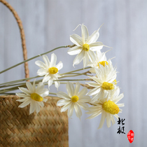 Natural handicraft dried flowers Home decoration flowers Indoor flower arrangement ornaments Fresh small daisies white flowers
