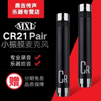 Vận chuyển được cấp phép Hoa Kỳ MXL CR21 Cặp cặp micrô nhỏ nhạc cụ âm thanh nổi micrô - Nhạc cụ MIDI / Nhạc kỹ thuật số bộ thu âm hát karaoke cao cấp