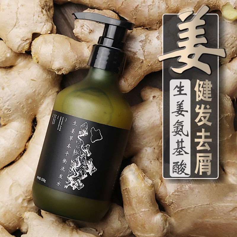 Dr. Gaffin's Ginger Plant Shampoo for Thick Hair, Oil Control, Anti-Dandruff, Volumizing, Amino Acid Repair and Smoothness Set