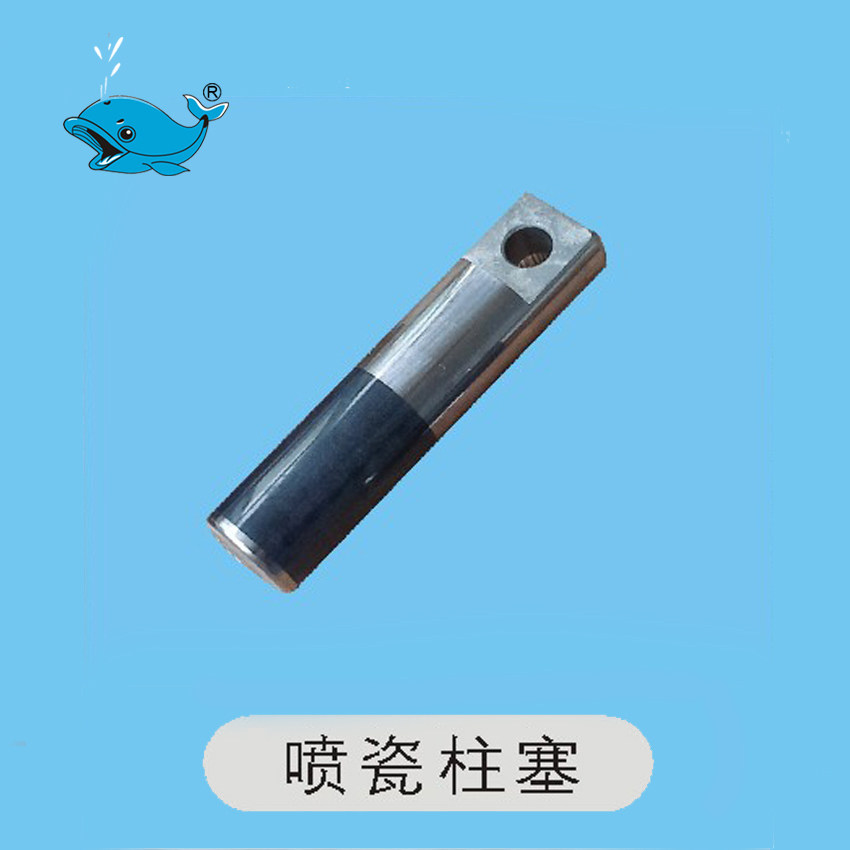Suzhou Whale Cleaner JYCC0815A 1115A Ceramic plunger whale washing machine accessories cleaner