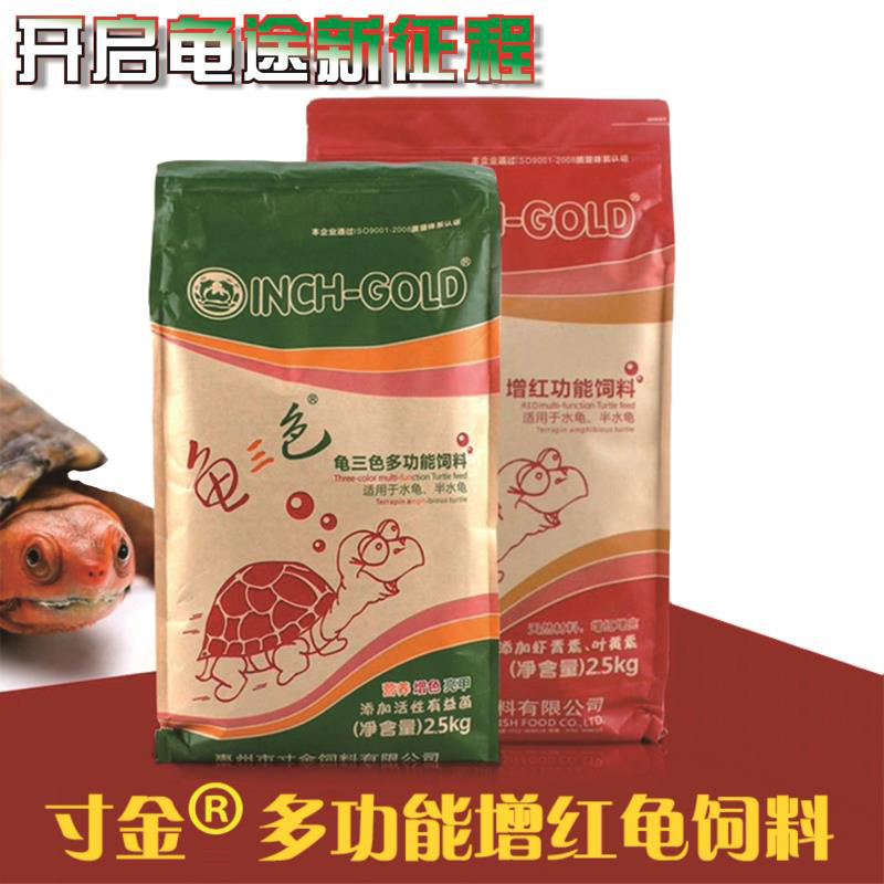 Inch Gold Turtle Tri-color Feed Shrimp Red Thickening Red Feed Stone Turtle Flame Tortoise Tortoise Tortoise Tortoise Glans Tortoise Tortoise Glans Turtle Common Turtle Food
