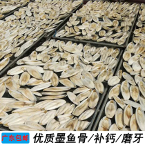 Cuttlefish bone Turtle calcium molars