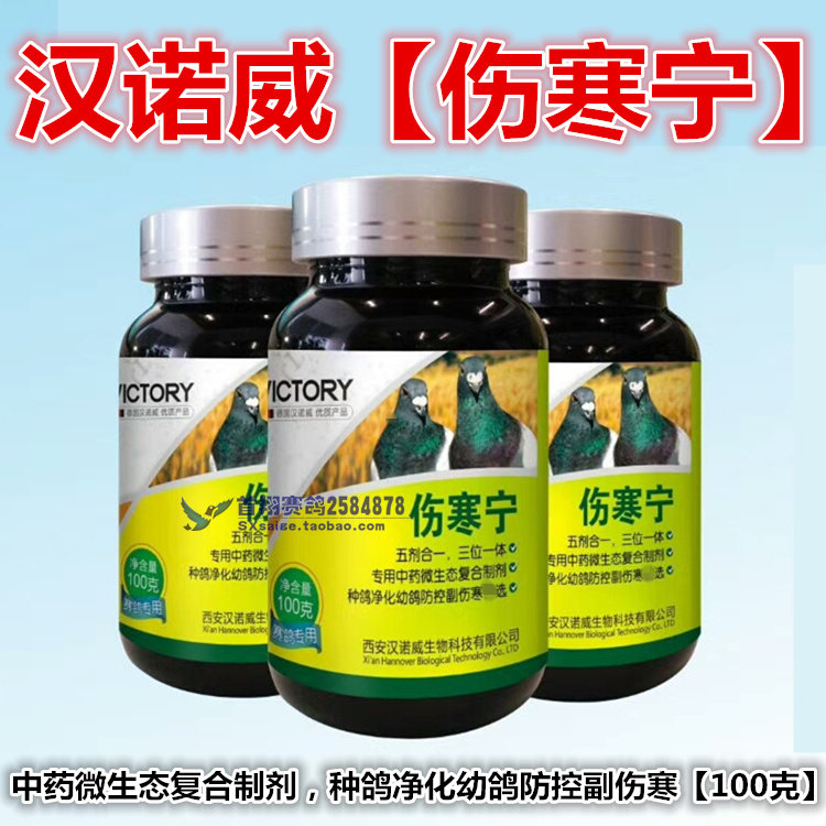 Hannover Dove Medicine (typhoid Ning) 100g Gut Typhoid Stop for Typhoid Fever in Hannover Typhoid Fever