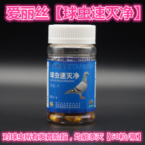 Alice dove medicine (cocciferosis net) 60 grain coccidiosis caused by a Lalu defecation pigeon cocks cleaning