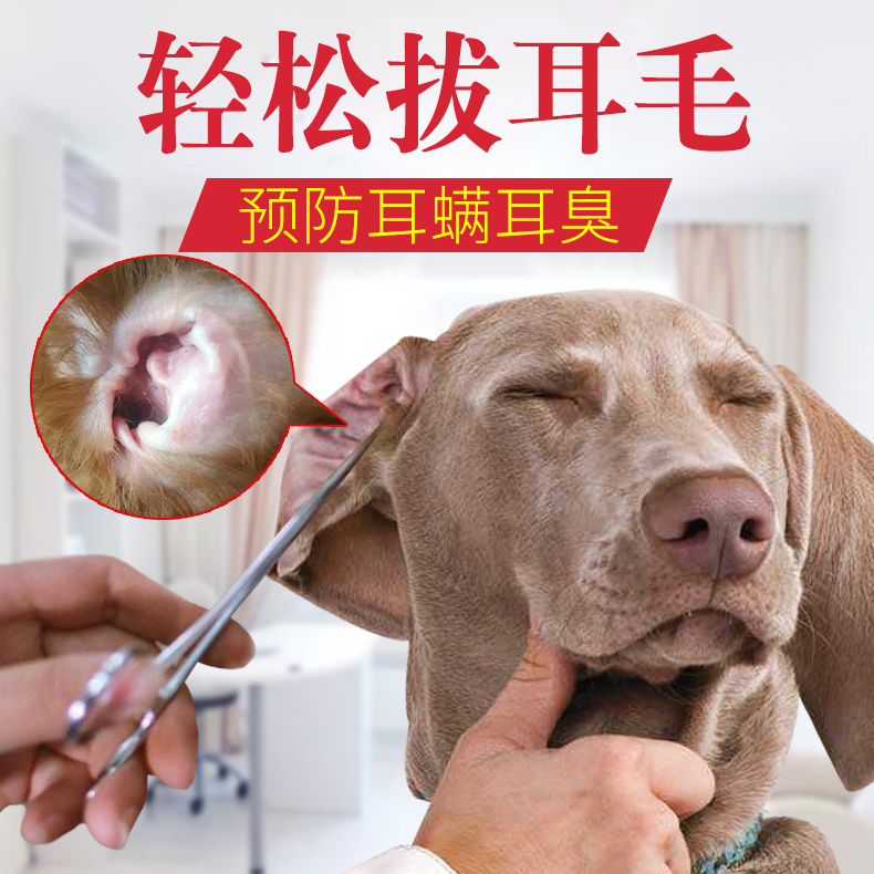 Dog ear hair cut pet plucking hair cut cat dog plucking fitter hemostatic forceps plucking ear hair scissors ear canal cleaning tool