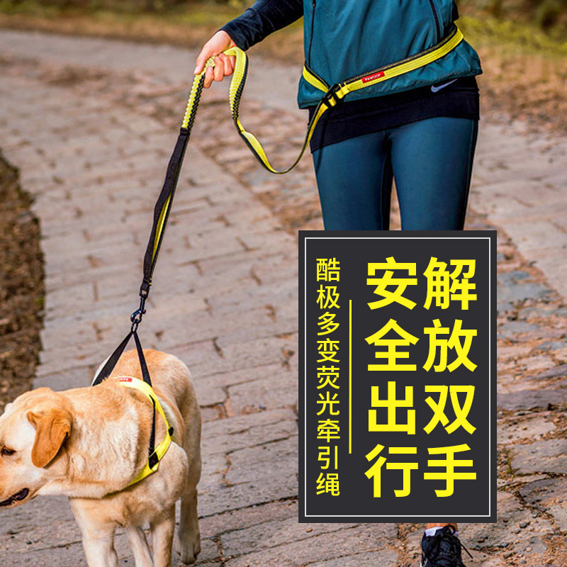 Dogs traction rope kitty walking cat rope large gold wool dog rope Medium dog chain Sub-small dog leash Rope God