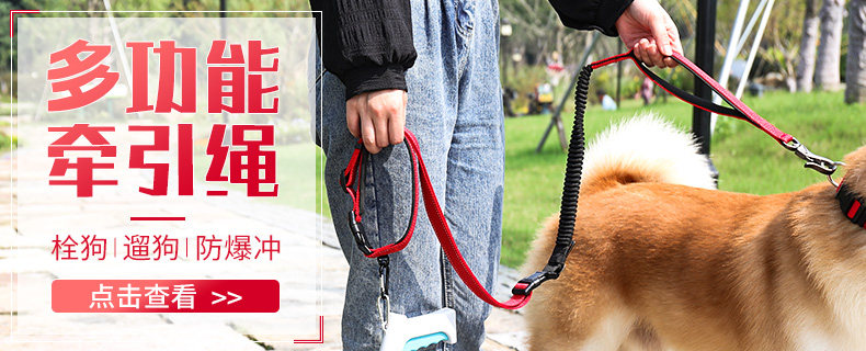 627685907679- Dog Roction-Banner.jpg