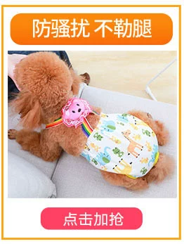Quần áo cho chó Teddy Bomei chú chó nhỏ bốn chân quần áo jumpsuit cún con mùa xuân và mùa hè quần áo bình thường - Quần áo & phụ kiện thú cưng áo cho chó giá rẻ