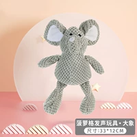 Ананас слон