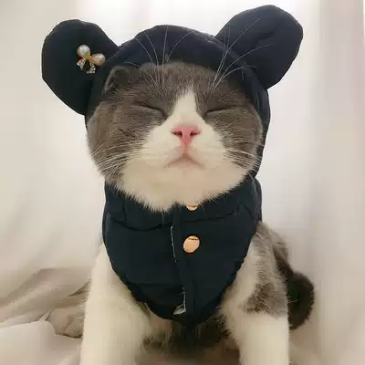 Cat clothes Garfield small milk cat cat british short thickened kitten kitten clothes warm winter pet autumn and winter clothes