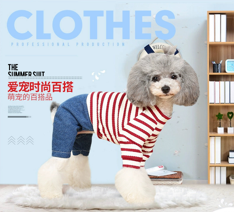 Quần áo cho chó Teddy Bomei chú chó nhỏ bốn chân quần áo jumpsuit cún con mùa xuân và mùa hè quần áo bình thường - Quần áo & phụ kiện thú cưng