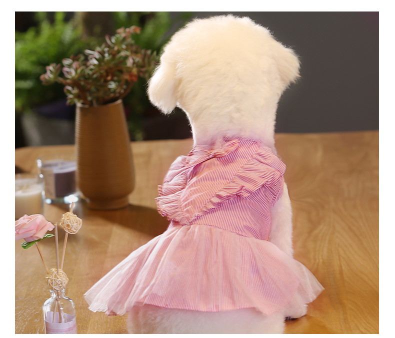 Quần áo chó, tai gỗ, áo sơ mi ca rô, Teddy, gấu, Bomei, búp bê, Pago, chó nhỏ, trang phục thường ngày - Quần áo & phụ kiện thú cưng áo con chó