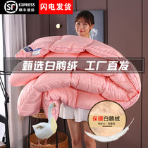 Down is 95 white velvet winter is thickened to keep warm by core student dormitory hotel single cotton pure cotton quilt