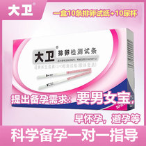 David ovulation test paper to test ovulation high-precision early pregnancy test ovulation period high-precision and accurate detection test paper artifact