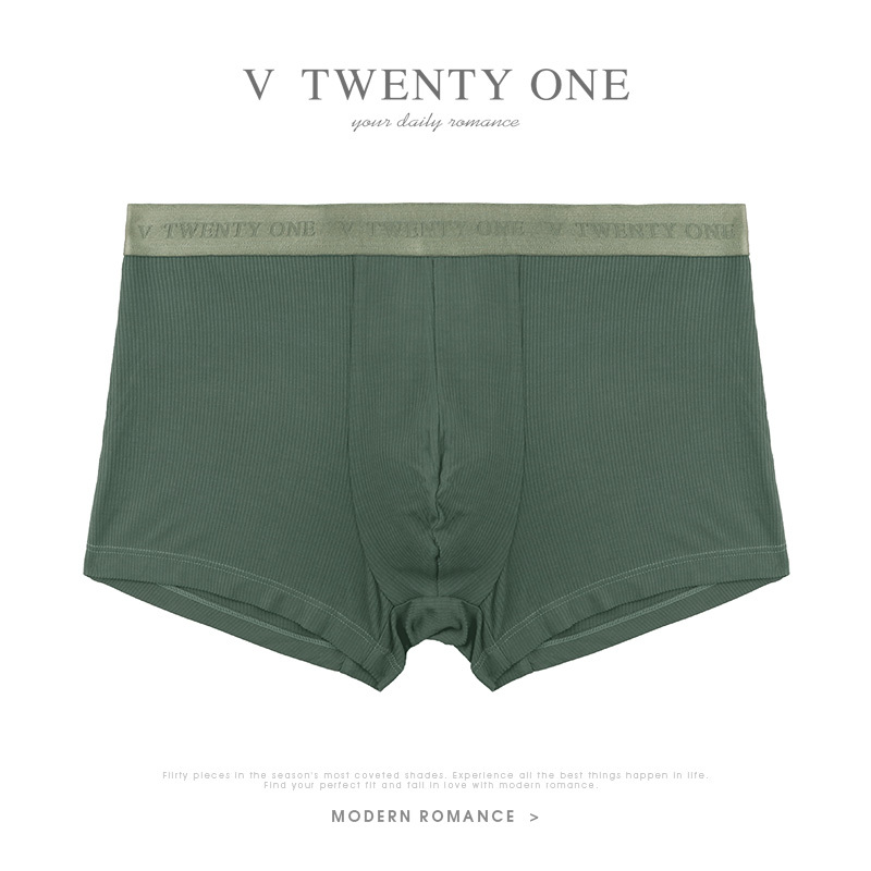 【139 Yuan for 4 Pieces】V21 Men's Simple Breathable Boxer Briefs with Print, Large Size Shorts, Briefs, Triangle Underwear