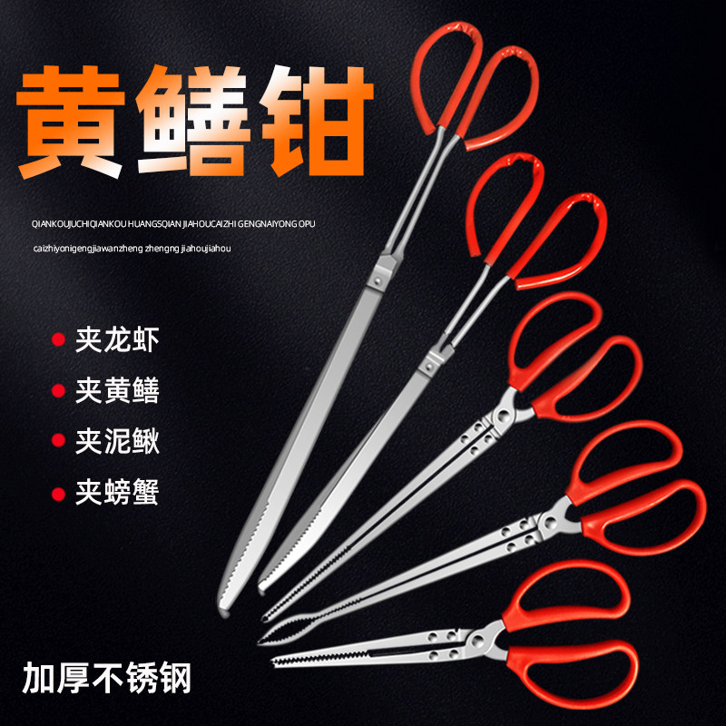 Catch Sea Yellow Eel Clip Theeel Finless Eel Fish Clip Catch Loach Lobster Crab Pliers Non-slip Stainless Steel Special Tool