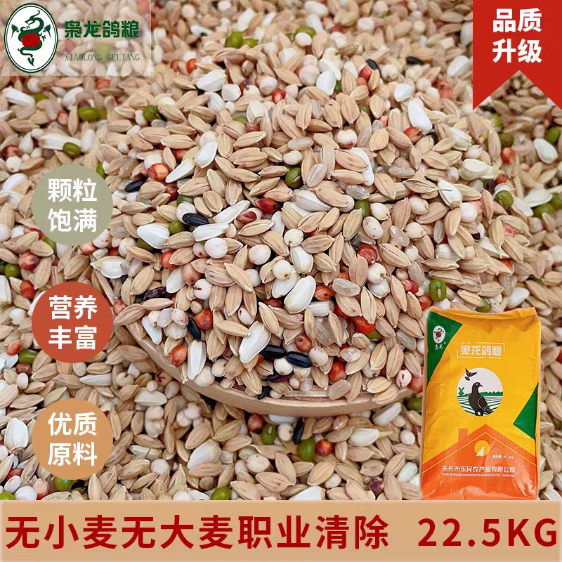 Xiaolong Pigeon Food Without Wheat and Barley, Professional Rice-Based Formula for Racing Pigeons and Homing Pigeons, Bird Food for Jiangsu, Zhejiang, Shanghai, and Anhui, 22.5kg Pack with Free Shipping