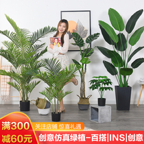 Large Nordic simulation green plant plant floor banana pot views indoor living room decorated plant scatter tail