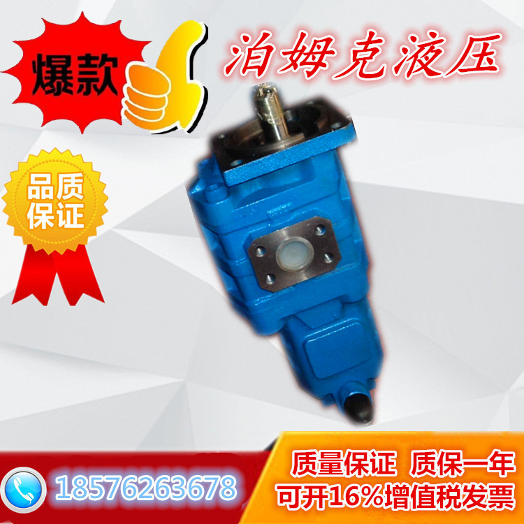 Loader stacker accessories XCMG ZL50 Tianjin Pomke gear pump Working pump Steering pump Promotion