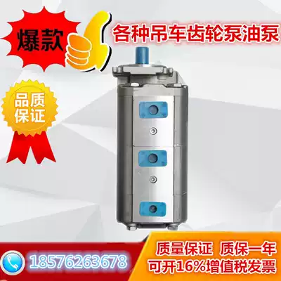 XCMG Yangtze River Puyuan Zhonglian Bengbu 25K5 crane gear pump Right-handed spline crane hydraulic pump