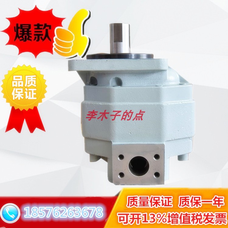 CBL5160-A1FR Sichuan Changjiang Gear Pump CBL5180-B1FR CBL5200-A1R 5140 Oil Pump L
