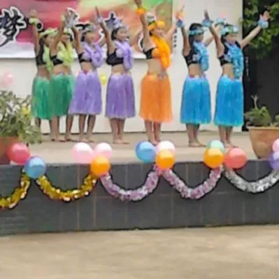 60 см двойной слой сгущенной для взрослых гавайской травяной юбки танцевальная одежда Пять -набор выступлений