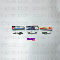 Suitable for WH100T-A-H-F-G-K little princess Jiaying Mingyue Youyue Joy NGK spark plug nozzle