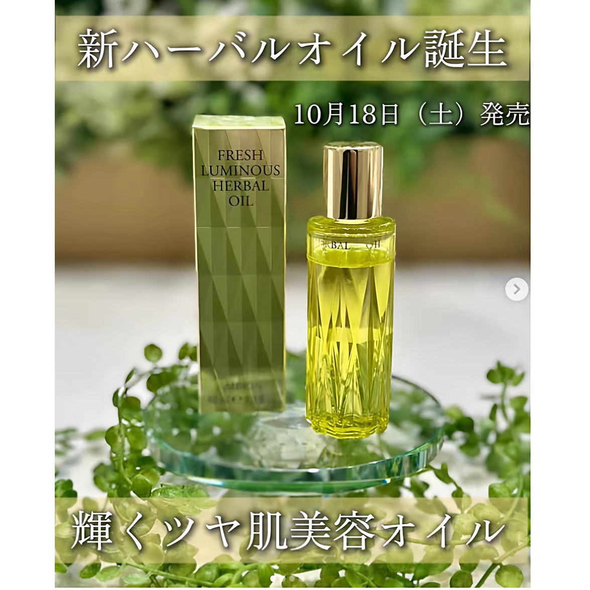 日本新版ALBION奥尔滨黄金油草本凝萃精华油美容油40ml评价- 淘宝网