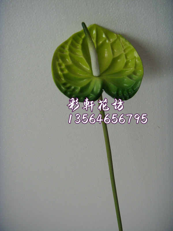5 gói mô phỏng anthurium mô phỏng cọ xanh hoa giả hoa lụa cao cấp hoa nhựa hoa flamingo hoa Anzu - Hoa nhân tạo / Cây / Trái cây hoa hồng giả đẹp