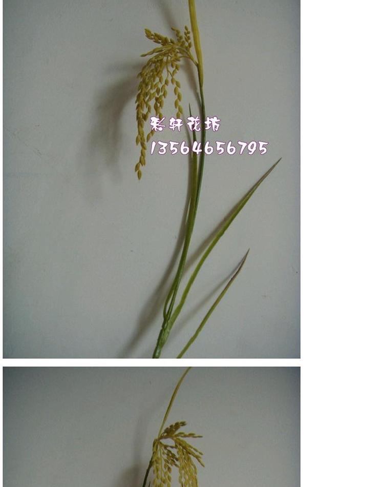 Mua 10 đến 2, 20 đến 5, mô phỏng gạo, mô phỏng gạo, hoa tai giả, hoa tai nhựa - Hoa nhân tạo / Cây / Trái cây các loại lan giả hạc