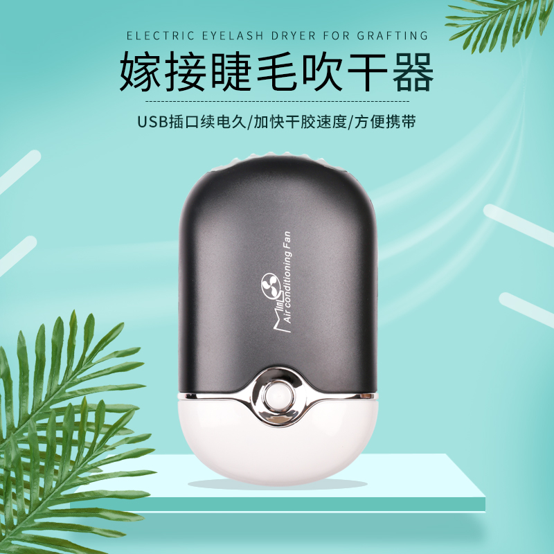Grafting Eyelash Hair Dryer Small Fan Usb Charging Planting Beauty Mascara Mini Electric Blow-drying Machine
