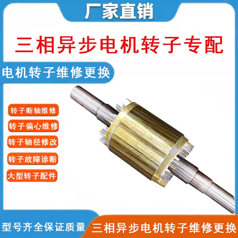 Three-Phase Motor Rotor Repair, Motor Rotor Fault Diagnosis, Motor Rotor Specialized Large Rotor Parts