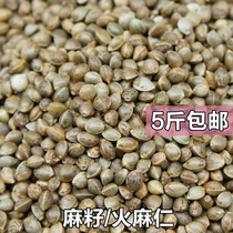 Little hemp seed hemp seed hemp seed tiger skin parrot peony parrot favorite bird food bird food 250g