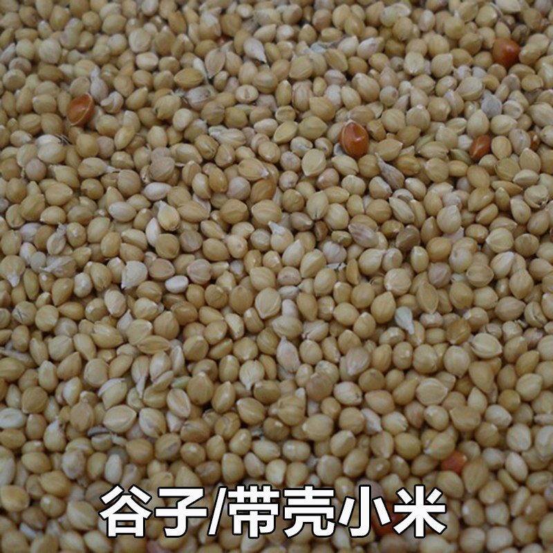 Yellow Valley Sub with shell millet tiger leather peony Hyun Fengwen bird parrot bird food and bird feed 500g