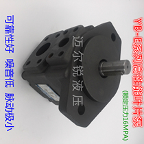 YBE high performance vane pump YB-E8 YB-E16 YB-E32 YB-E40 50 63 80 100 125