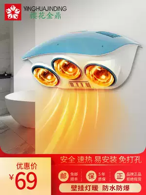 Double-lamp heating household wall-mounted bathroom wall-mounted two-light three-light dressing room bathroom explosion-proof waterproof bulb