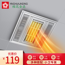 Superconducting monocle warm bath tyrant 300x300 integrated pendant home bathroom LED light heater bathroom heater