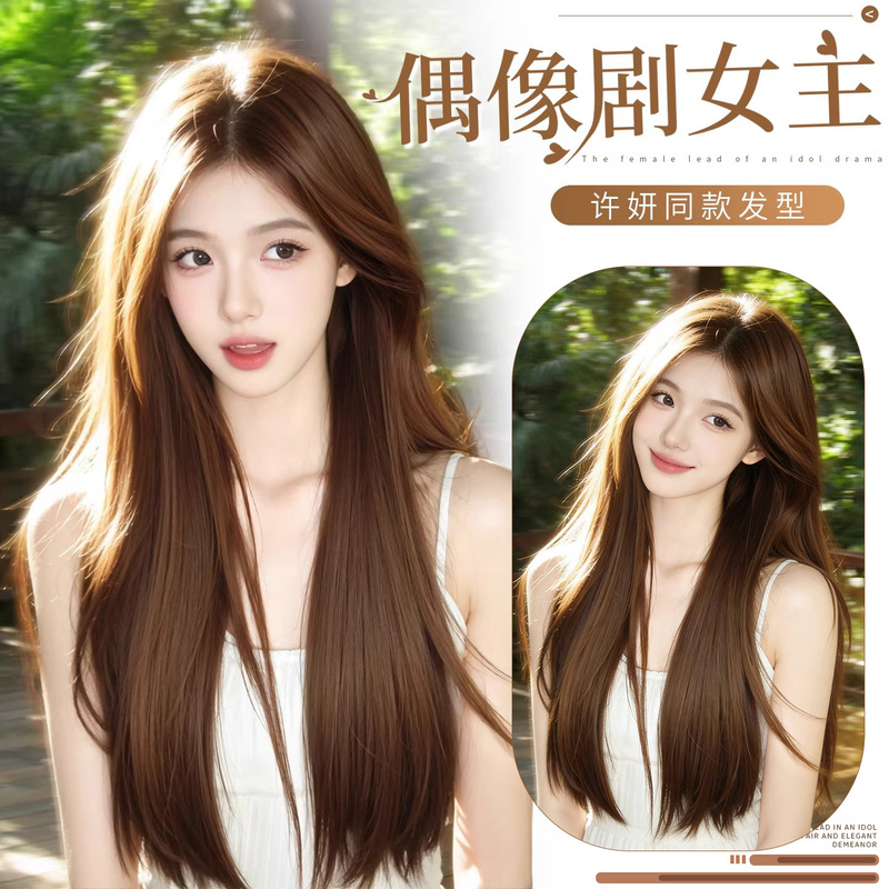 Wig for Women with Long Straight Hair, Full Head Cover, Brown Color, Suitable for Daily Use, Natural and Fluffy, Full Head Cover Style, Synthetic Hair