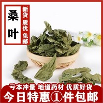 Full 1 piece of mulberry leaves 500 grams of Chinese herbal medicine mulberry leaves dried mulberry leaves frost mulberry leaves winter mulberry leaves mulberry leaves
