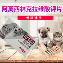 Morak pet anti-inflammatory dogs and cats anti-inflammatory skin diseases Urine treatment urinary colds veneer cat nasal branch