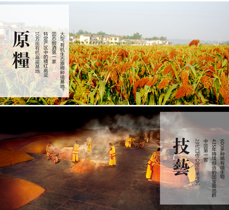 2015年老酒 泸州老窖 御酒 52度浓香型 500ml*6瓶 图8