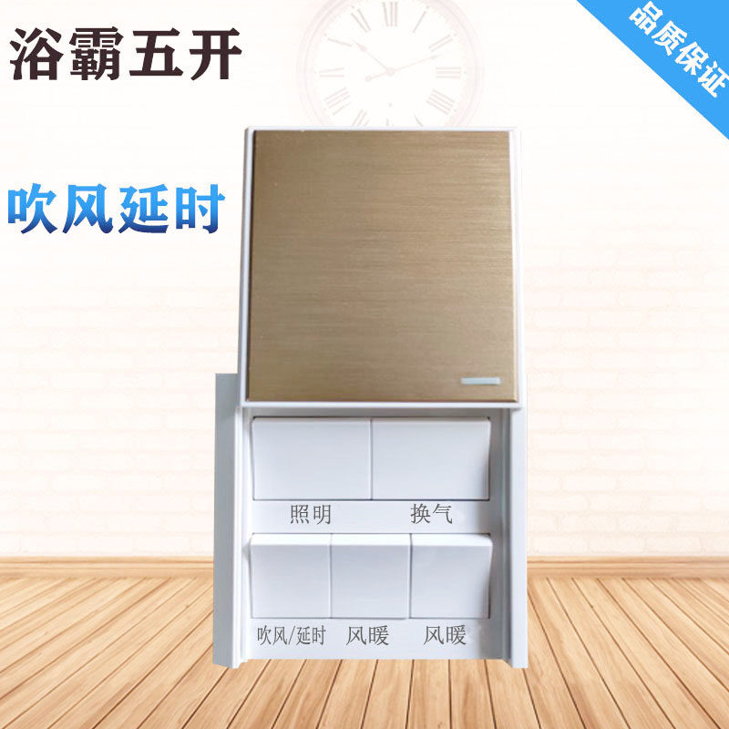 Bath switch 5 open delay hairdryer bathroom toilet integrated ceiling heating fan slip cover waterproof panel
