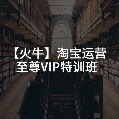 【火牛】淘宝运营至尊VIP特训班