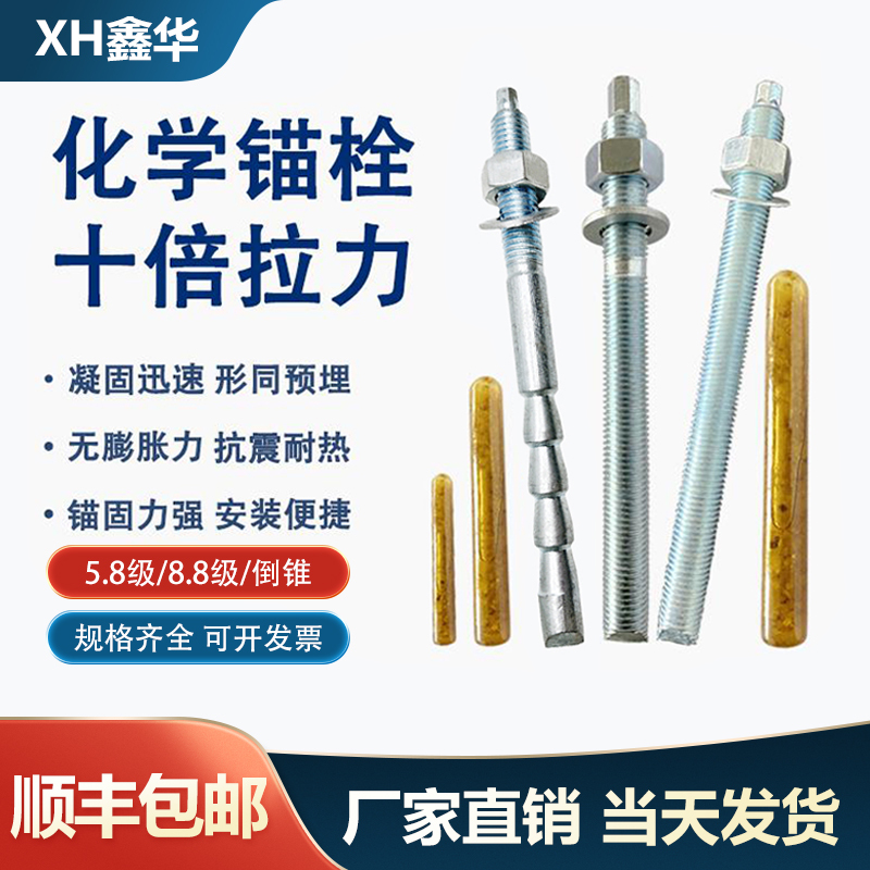 Chemical Anchors High-Strength Inverted Cone-Shaped Chemical Bolts Expansion Screws Grade 8.8 M12M16M18M20M24M30