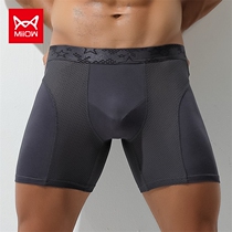 Cat man lengthened sportpants mens flat corner pants Modale anti-wear leg running big code four-corner shorts head